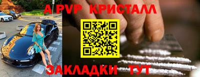 спайс Гай