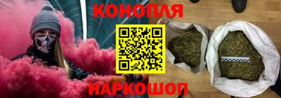 спайс Гай