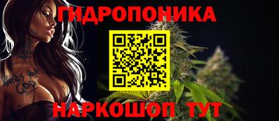 стаф Гагарин