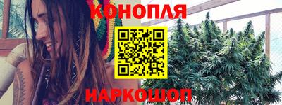 мдпв Гатчина