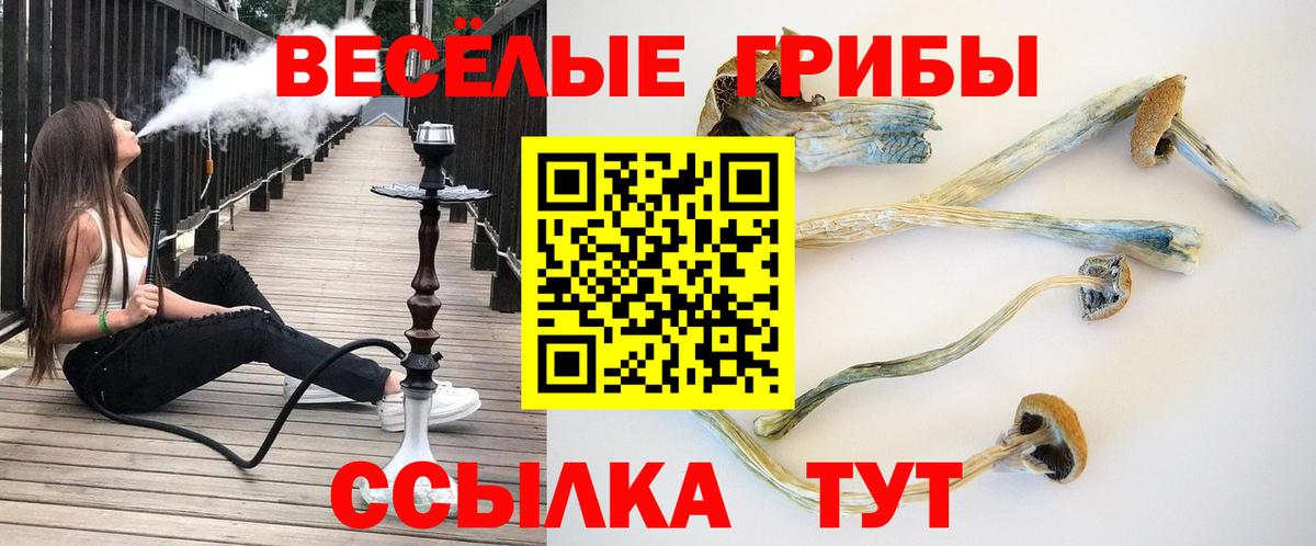 Псилоцибиновые грибы Psilocybine cubensis  Псилоцибиновые грибы мухоморы  купить  цена  Можга  Вход с VPN 
